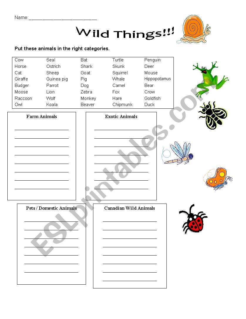 Animal categories worksheet