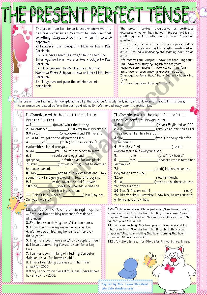 THE PRESENT PERFECT TENSE. worksheet