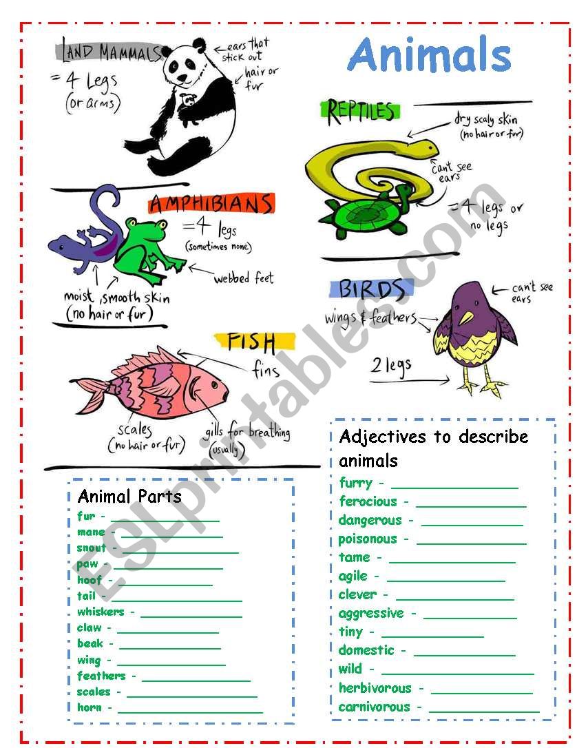 DESCRIBING ANIMALS!! - ESL worksheet by yenn