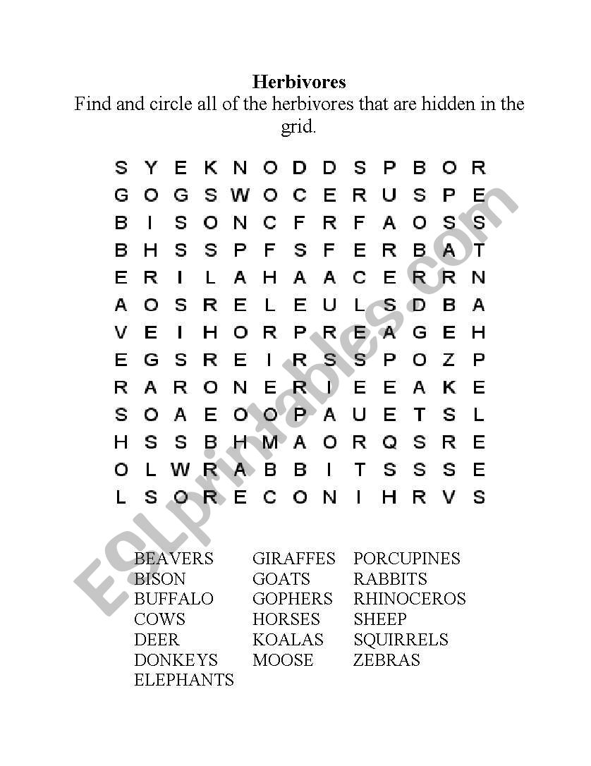 wordsearch worksheet