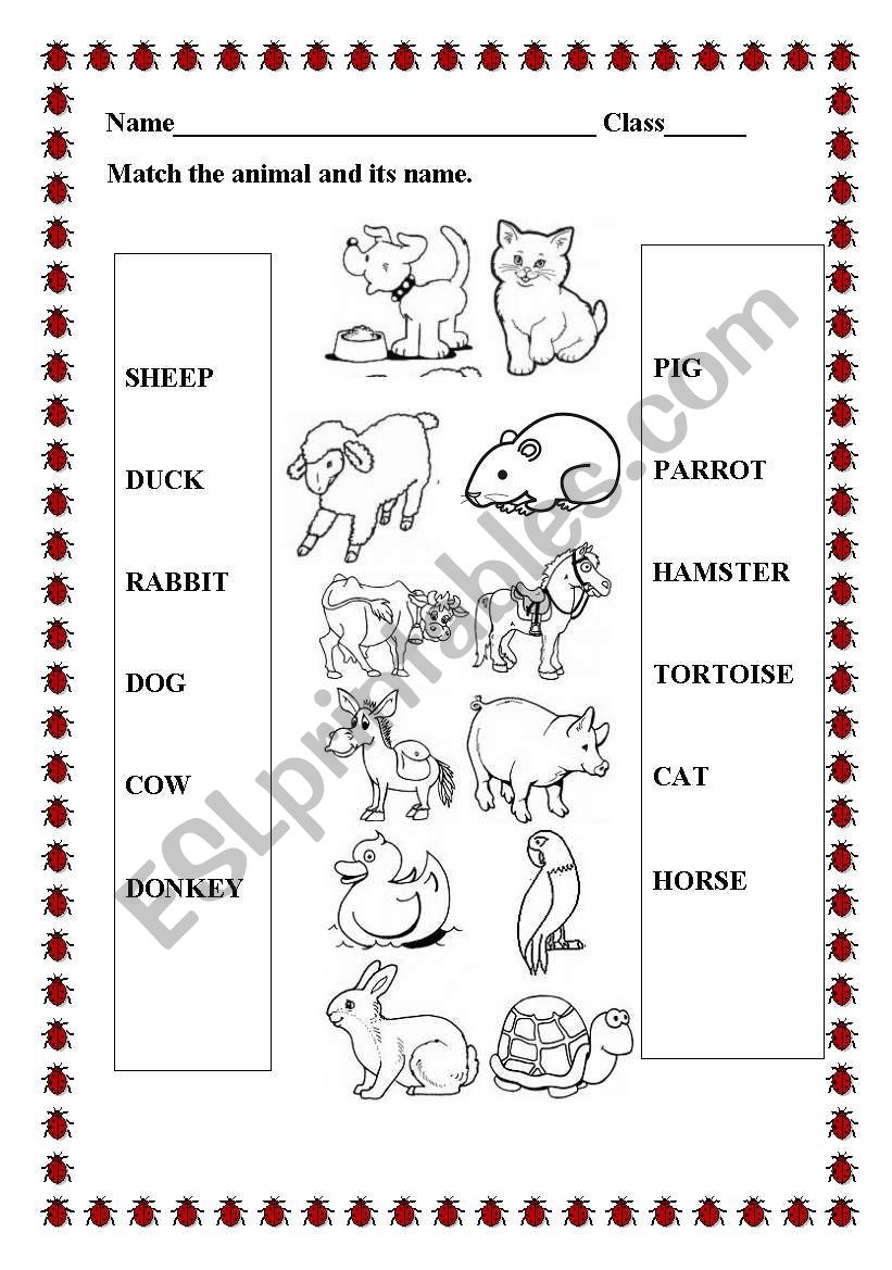 Match animals worksheet