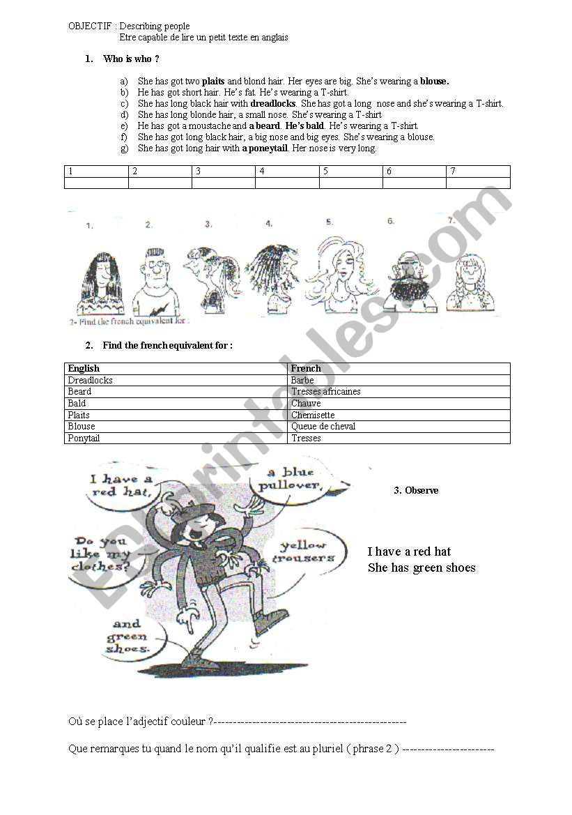 describing hair  worksheet