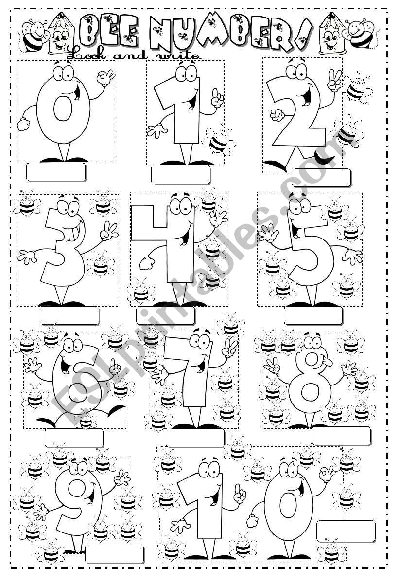 numbers worksheet