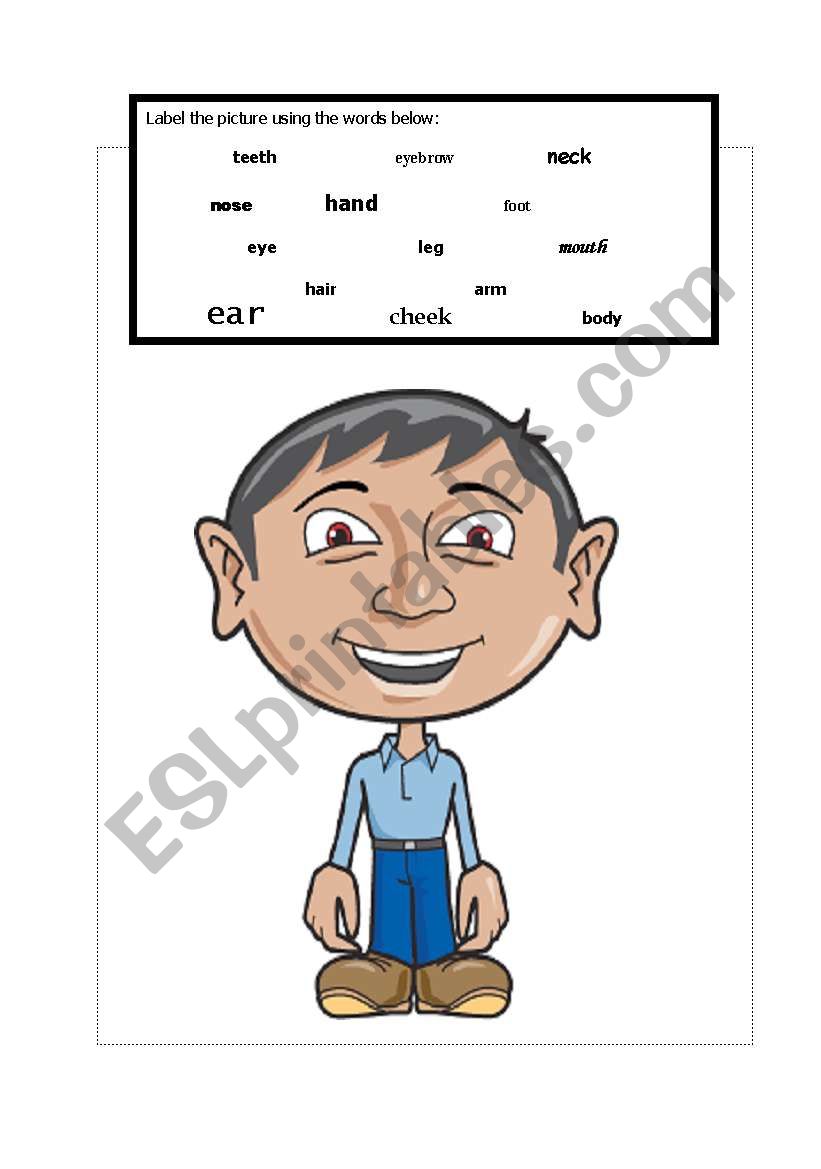 body parts worksheet