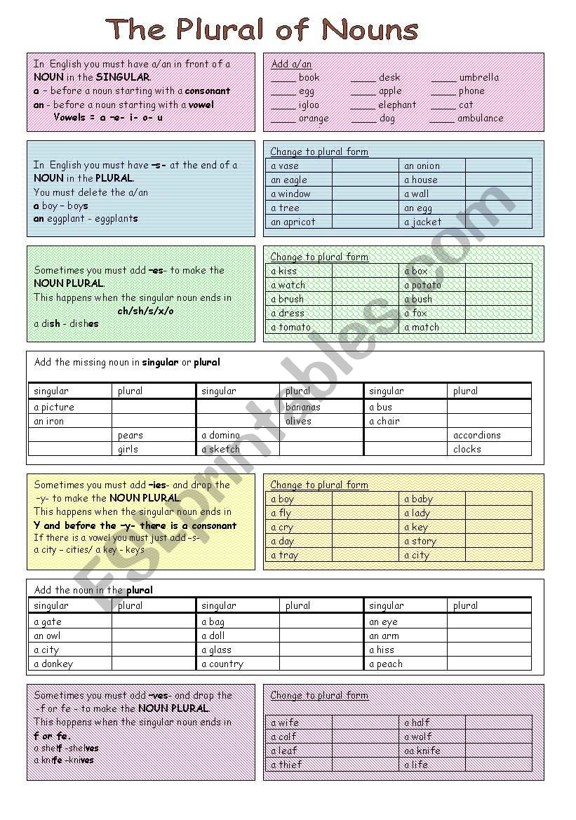 The Plural of Nouns worksheet