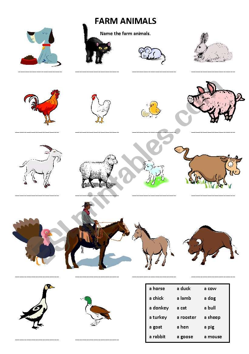 Farm Animals worksheet