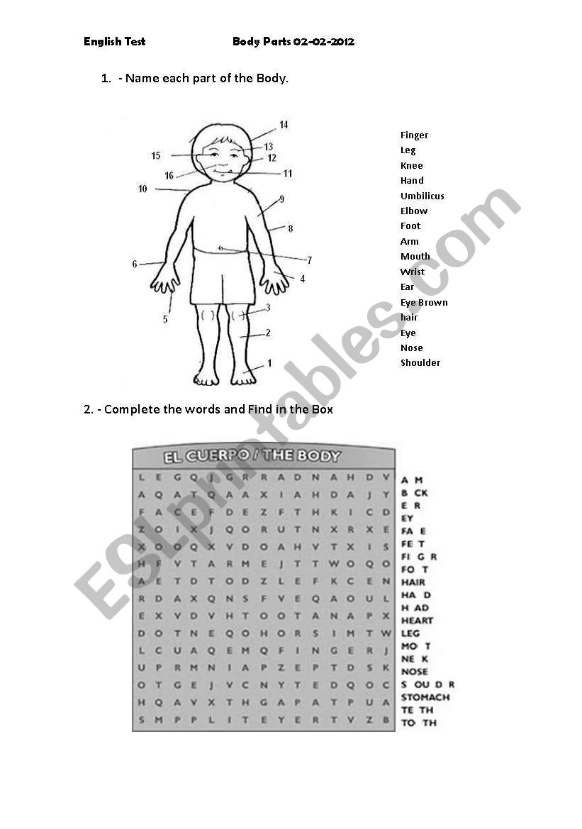 Body Parts worksheet