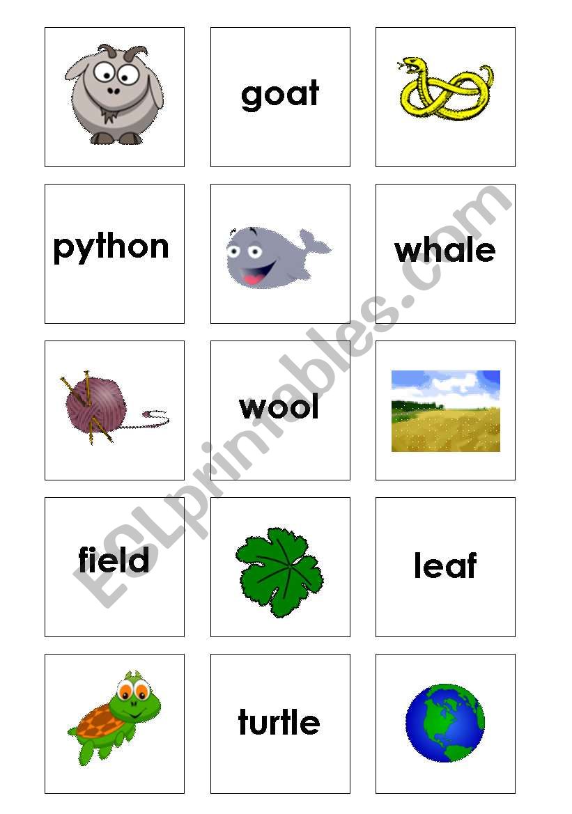 Pair picures worksheet