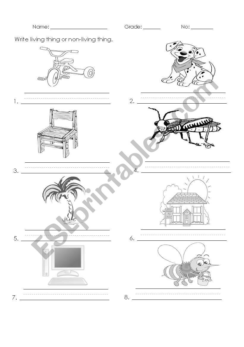 living and non living things worksheet