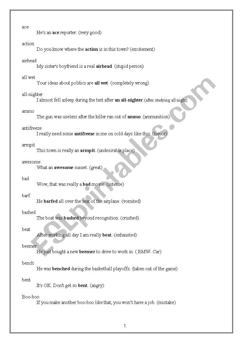 some usefull slangs worksheet