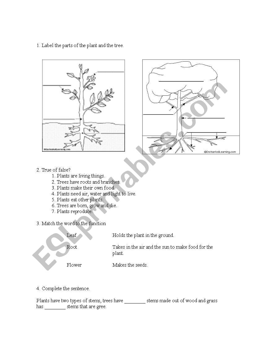 Science exam plants worksheet