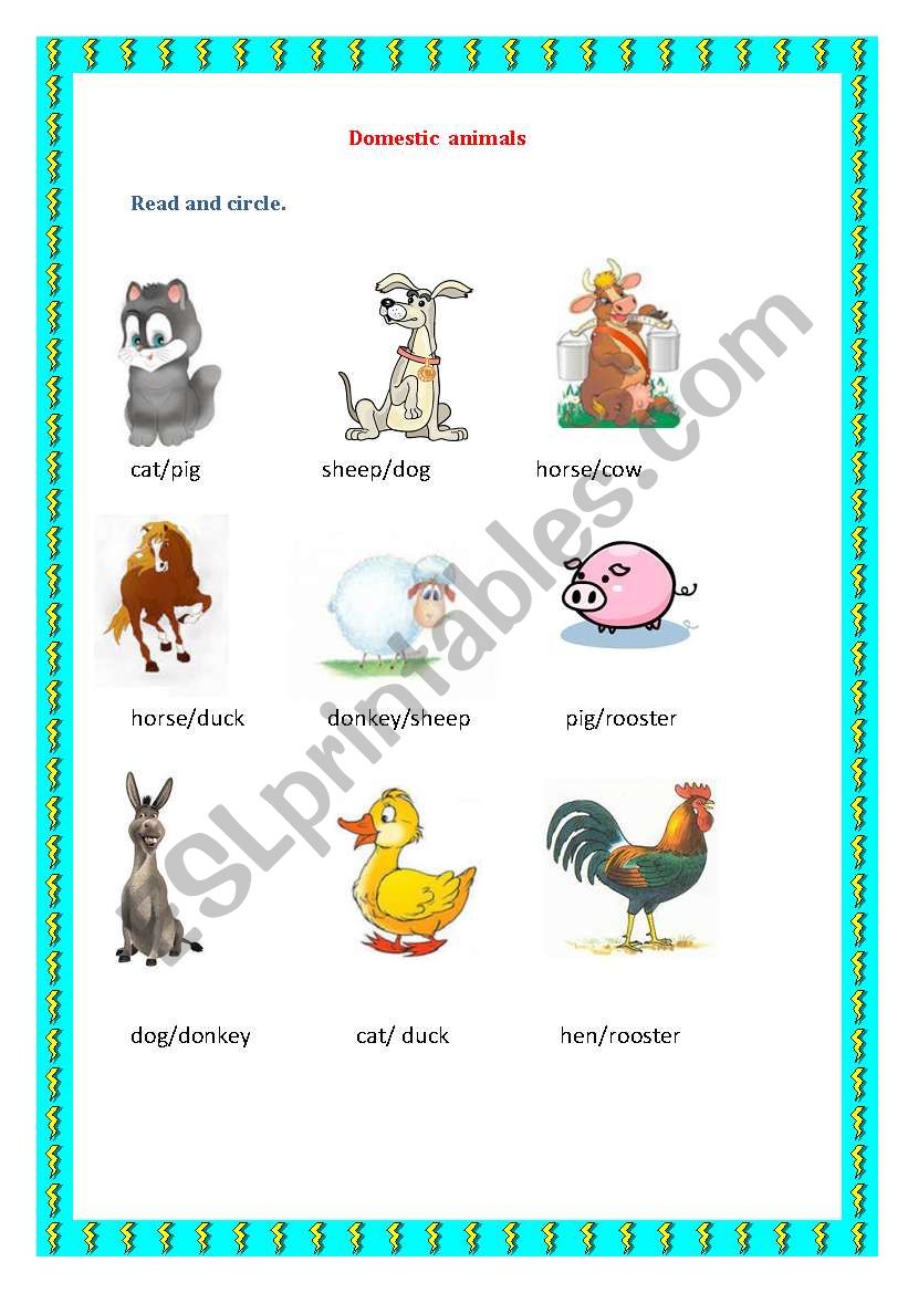 Domestic animals worksheet