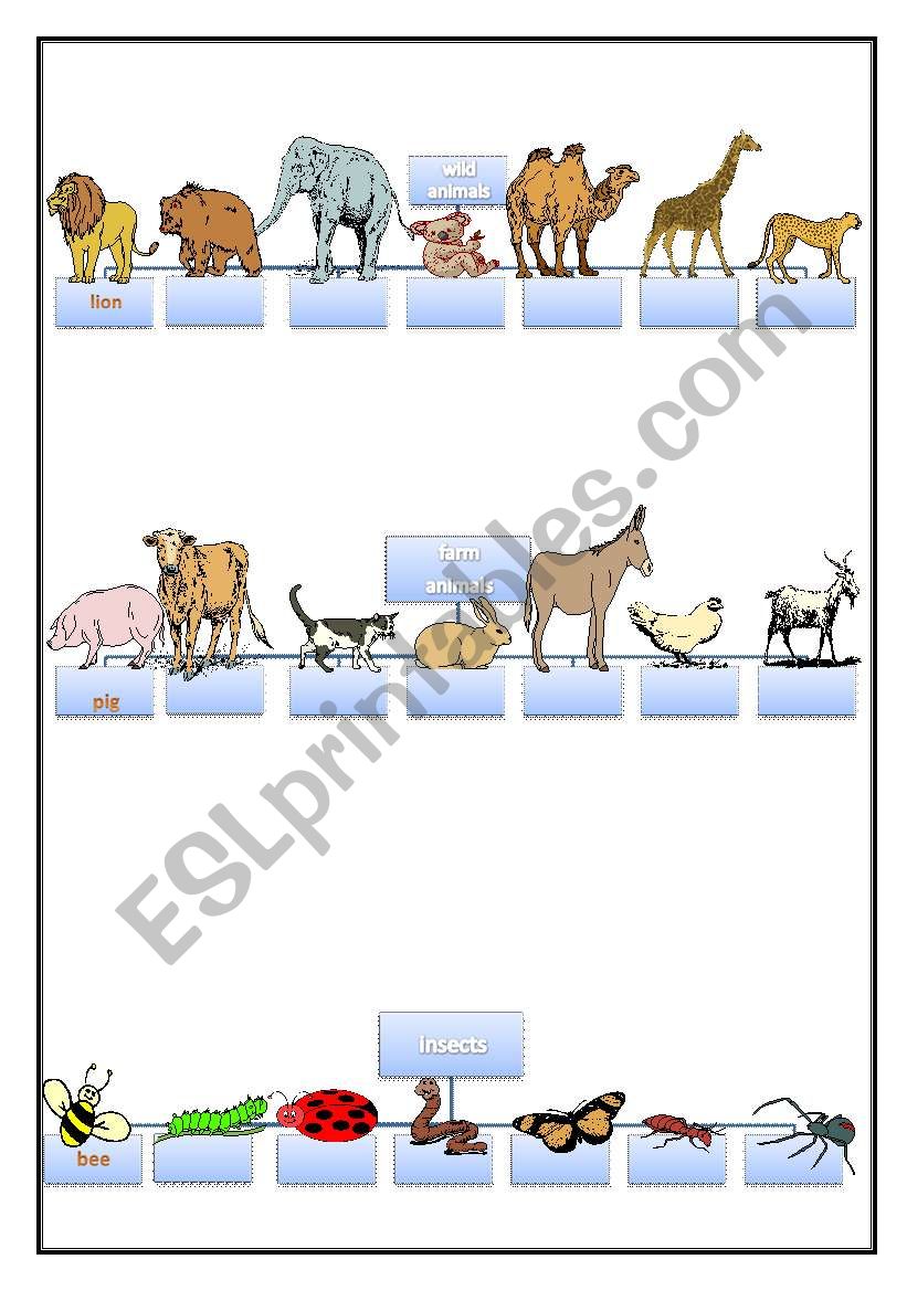 animals and insects worksheet