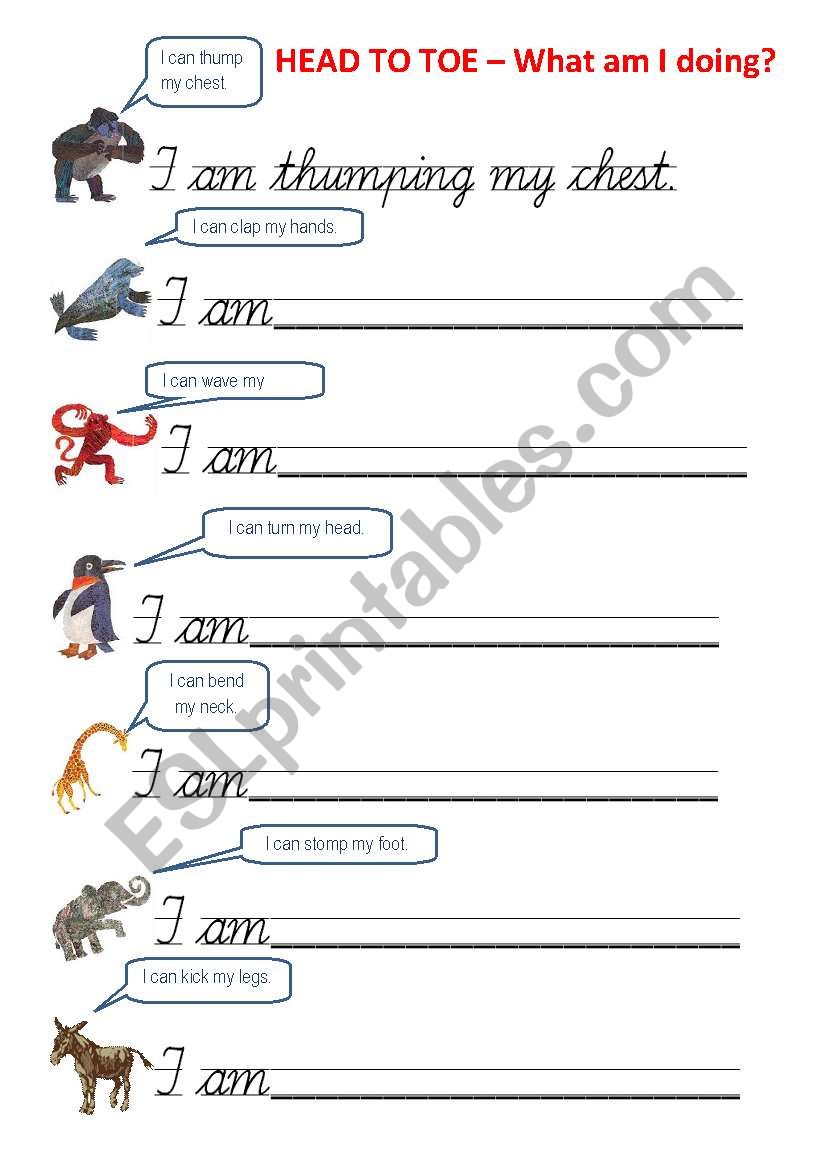 From head to toe. Grammar. worksheet