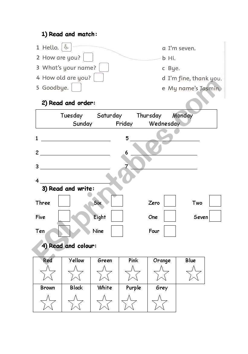 Basic Vocabulary worksheet