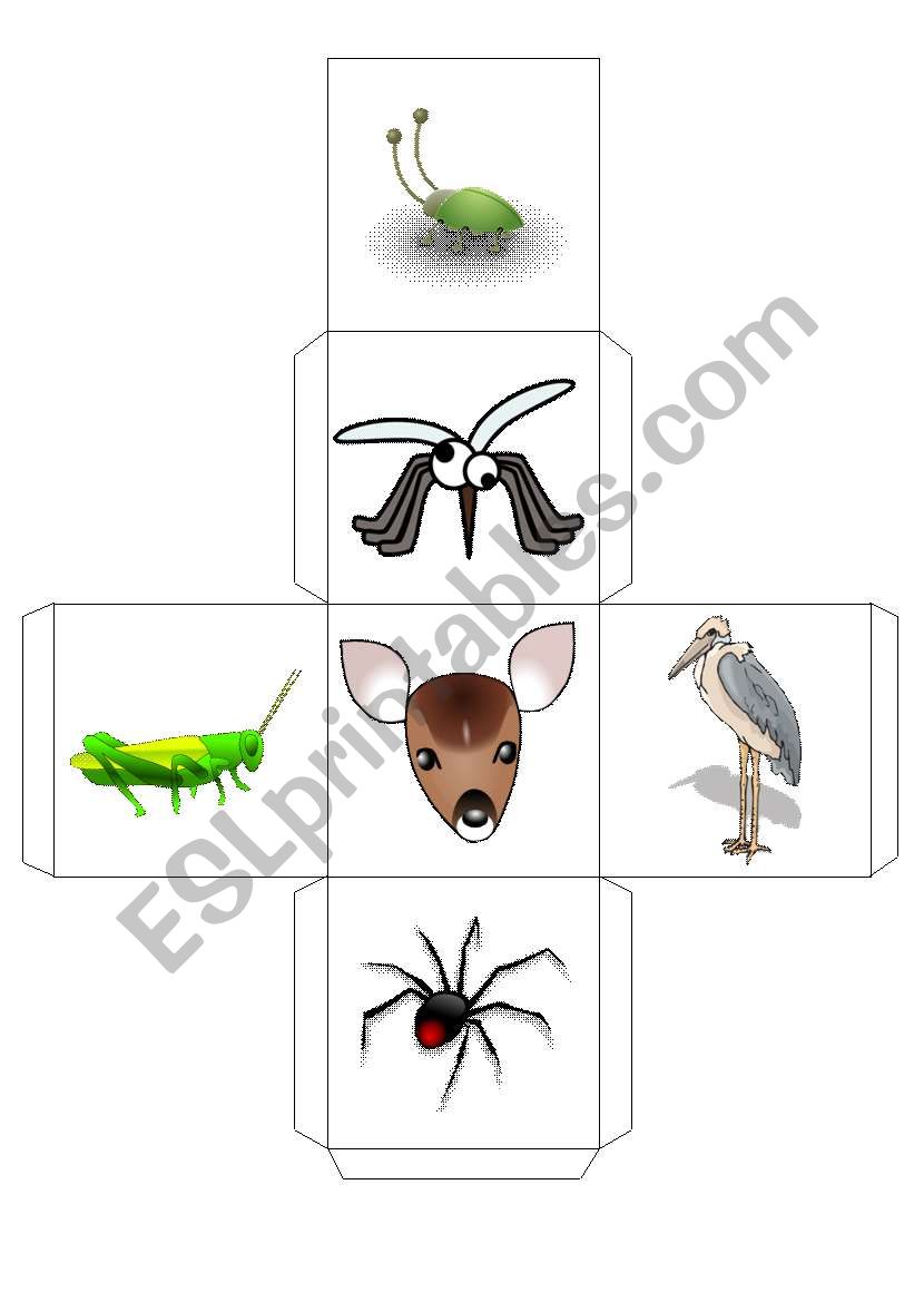 ANIMALS -- DICE -- 3 worksheet