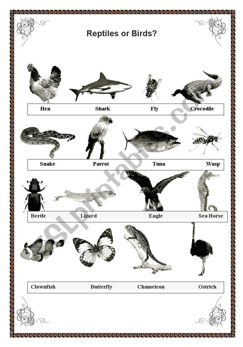 Reptiles or birds? worksheet