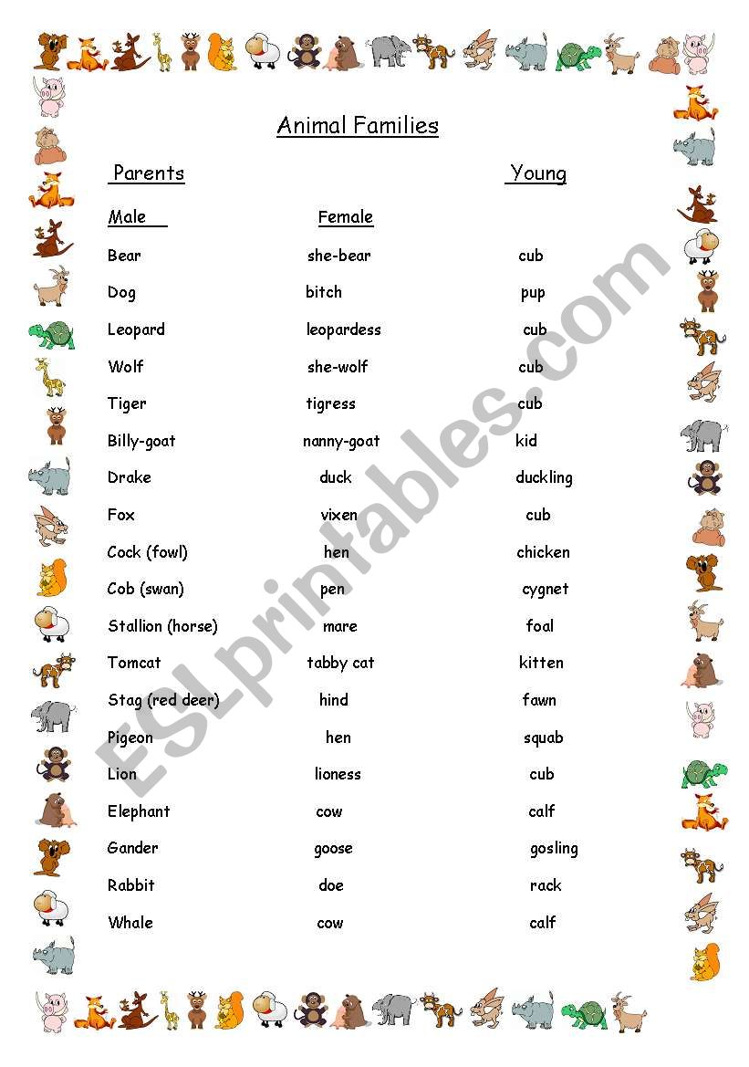 Animal Families worksheet