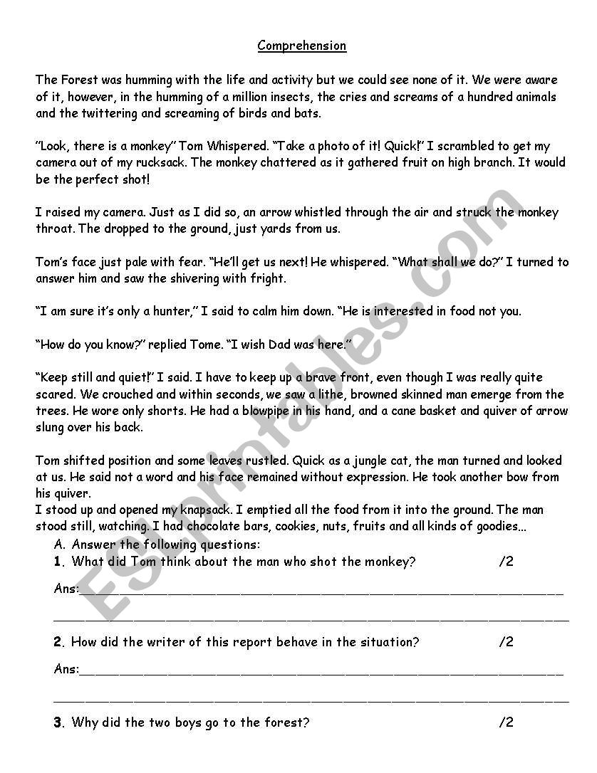 Comprehension worksheet