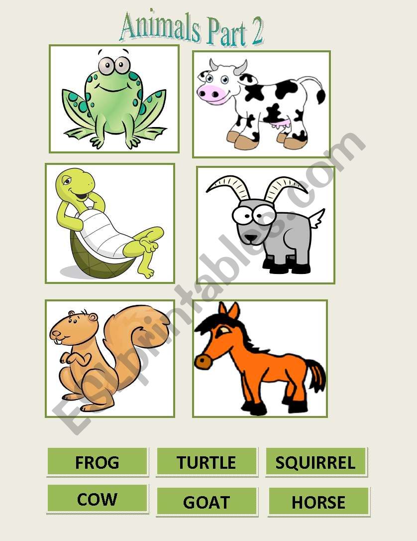 Animals flash cards part 2 worksheet