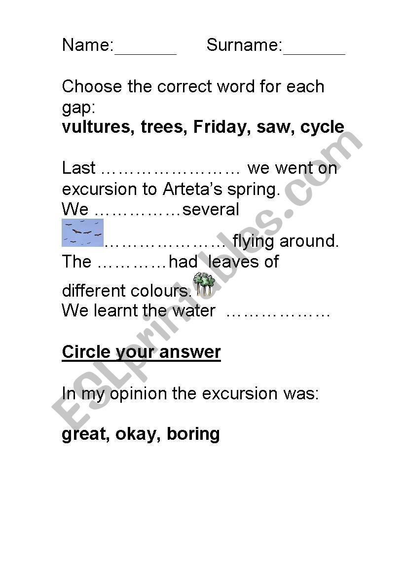 Excursion worksheet