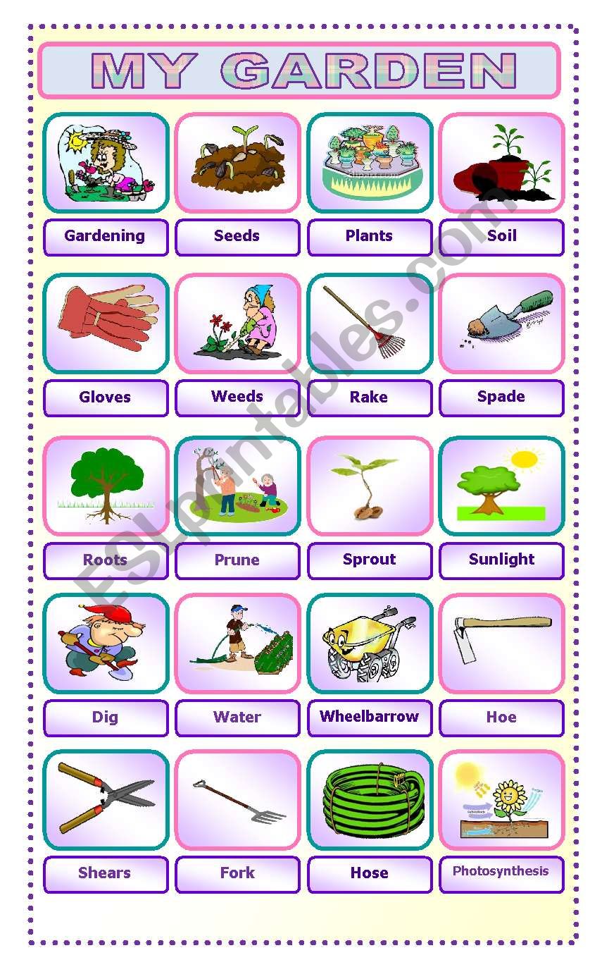 MY GARDEN worksheet