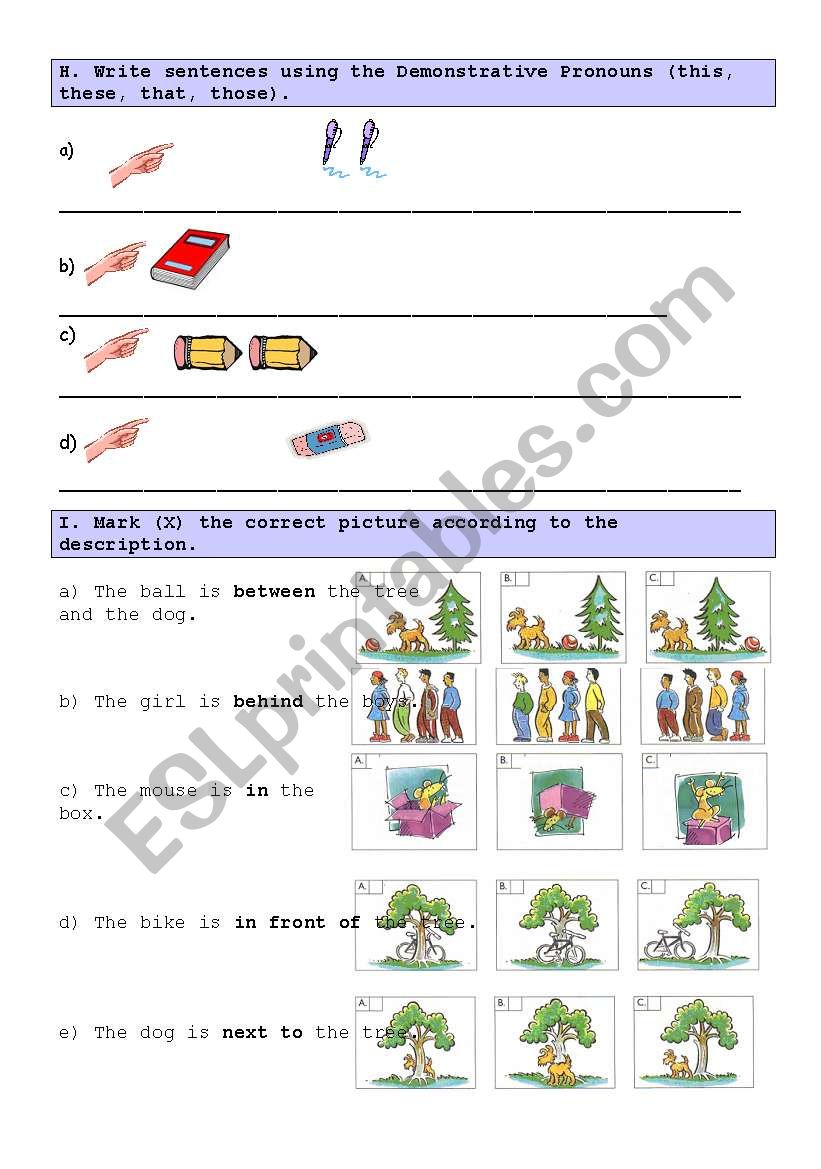 test 5th part 3 of 3 worksheet