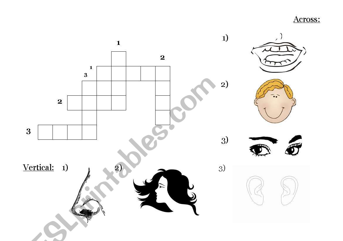 Body crossword worksheet