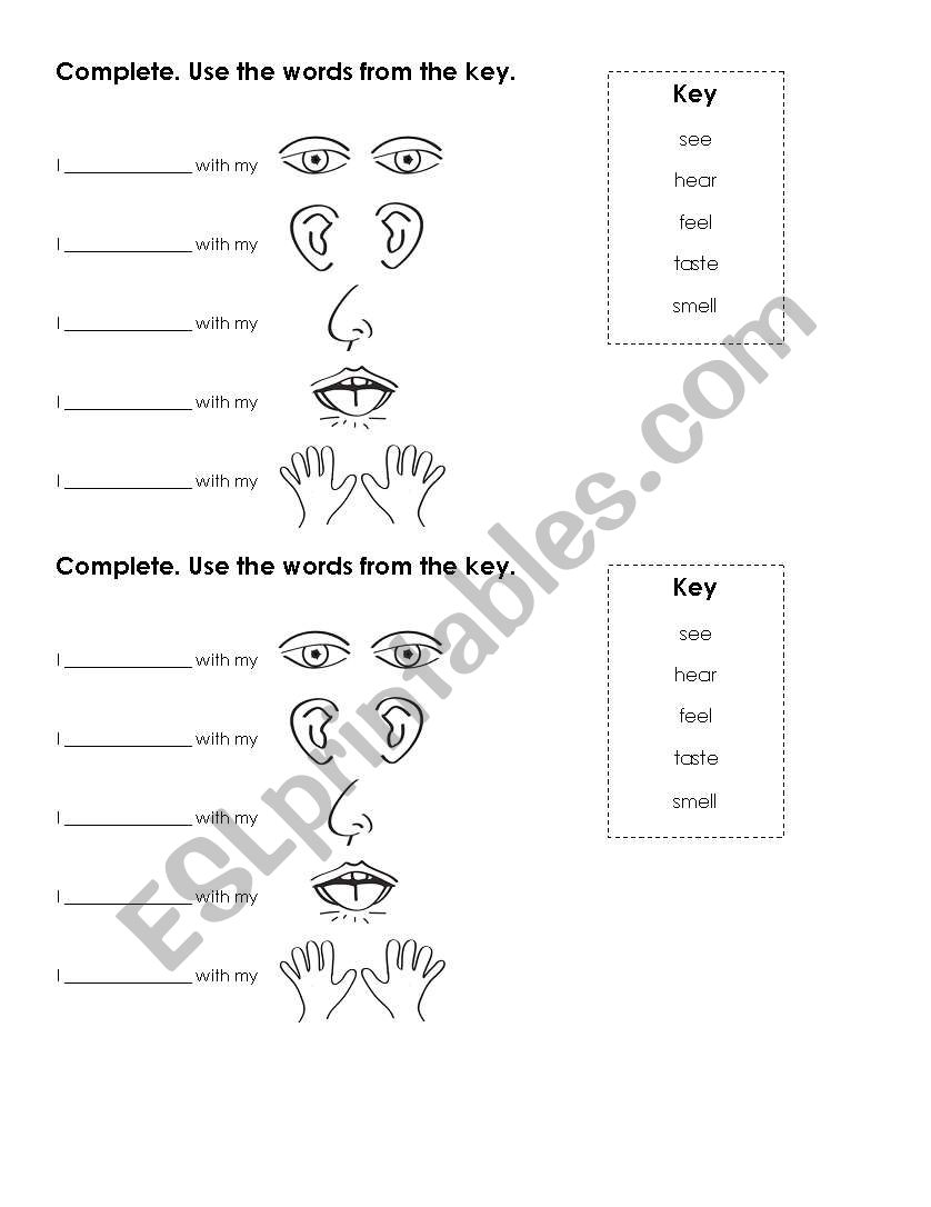 Five Senses worksheet