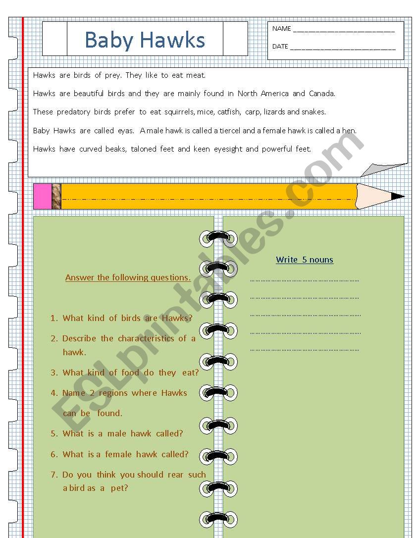 Baby Hawks (comprehension) worksheet