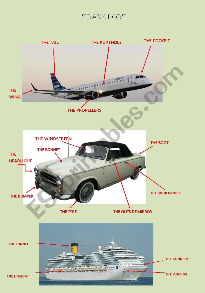 TRANSPORT worksheet