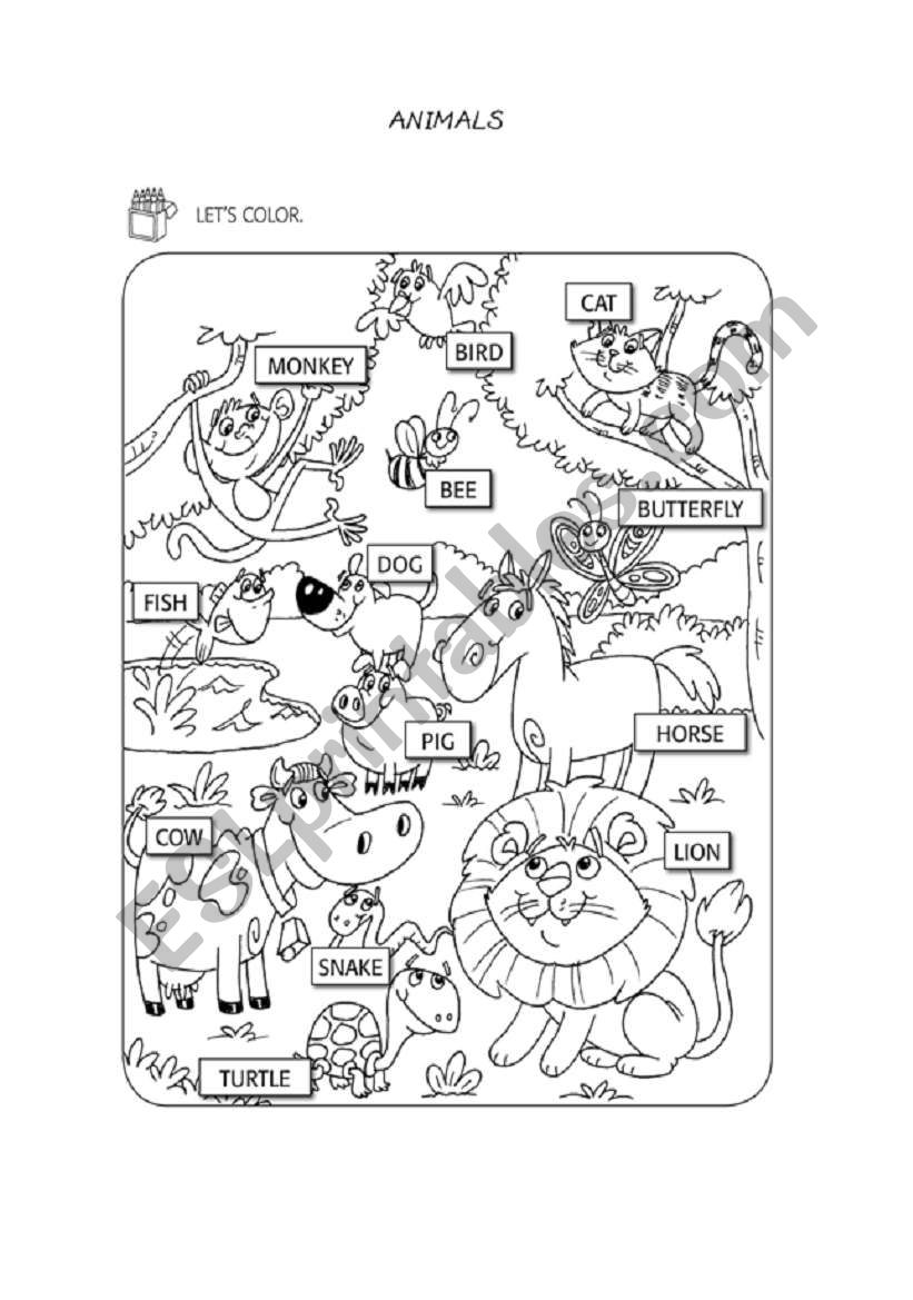 Animals worksheet