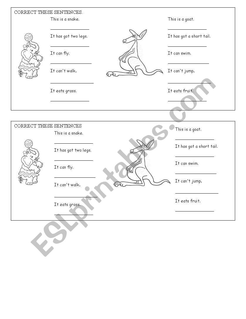 Animals worksheet