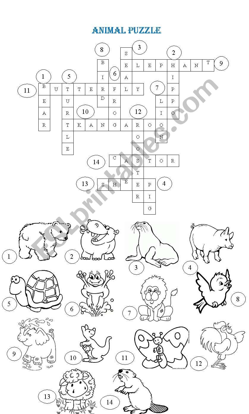 Animals worksheet