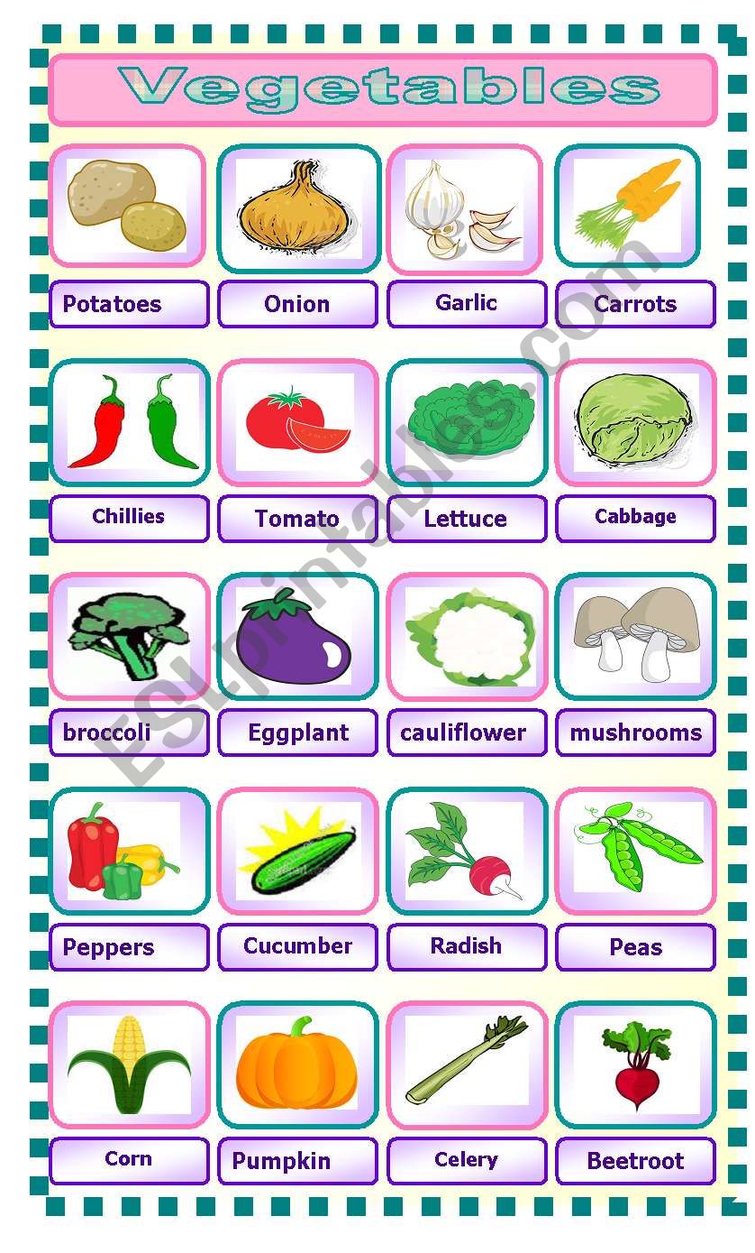 vegetables worksheet