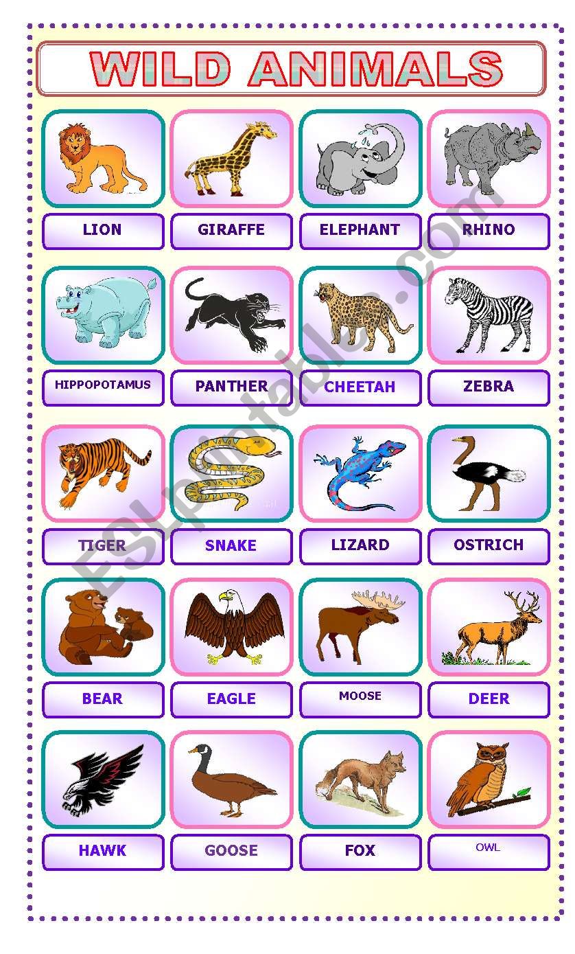 WILD ANIMALS - ESL worksheet by latty