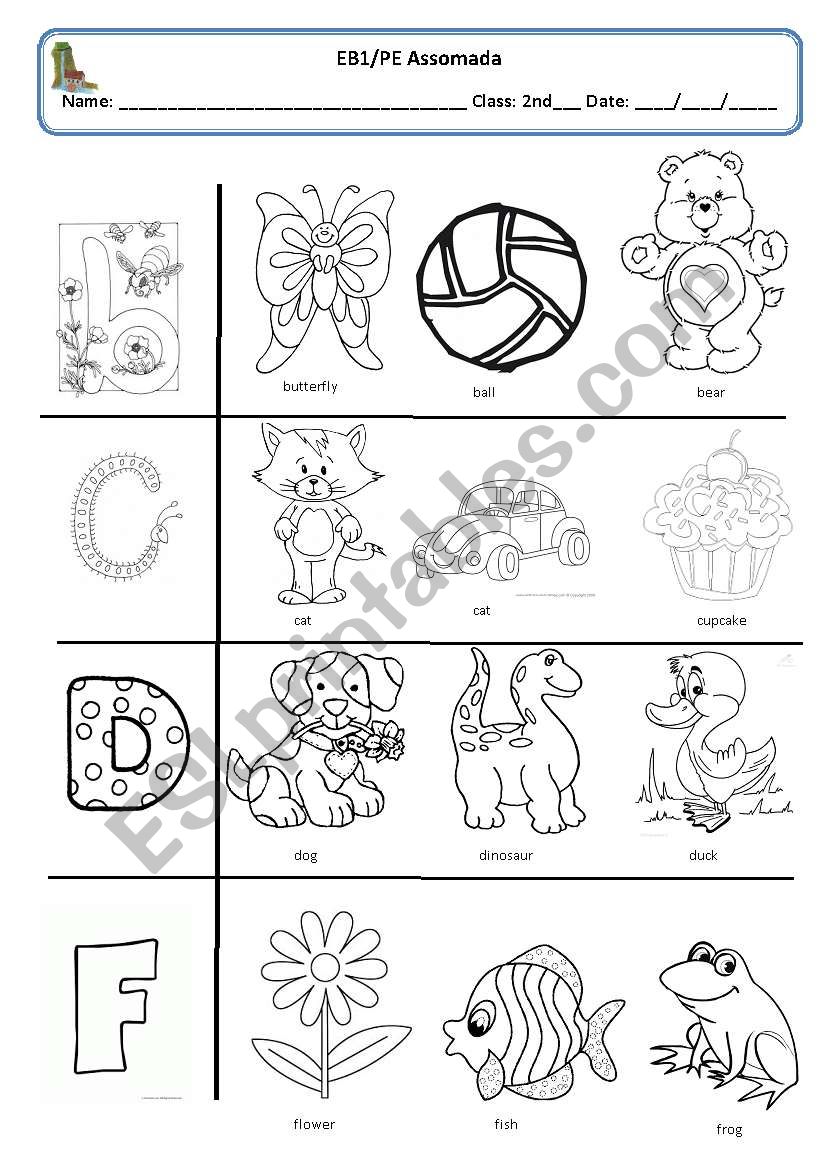 alphabet  worksheet