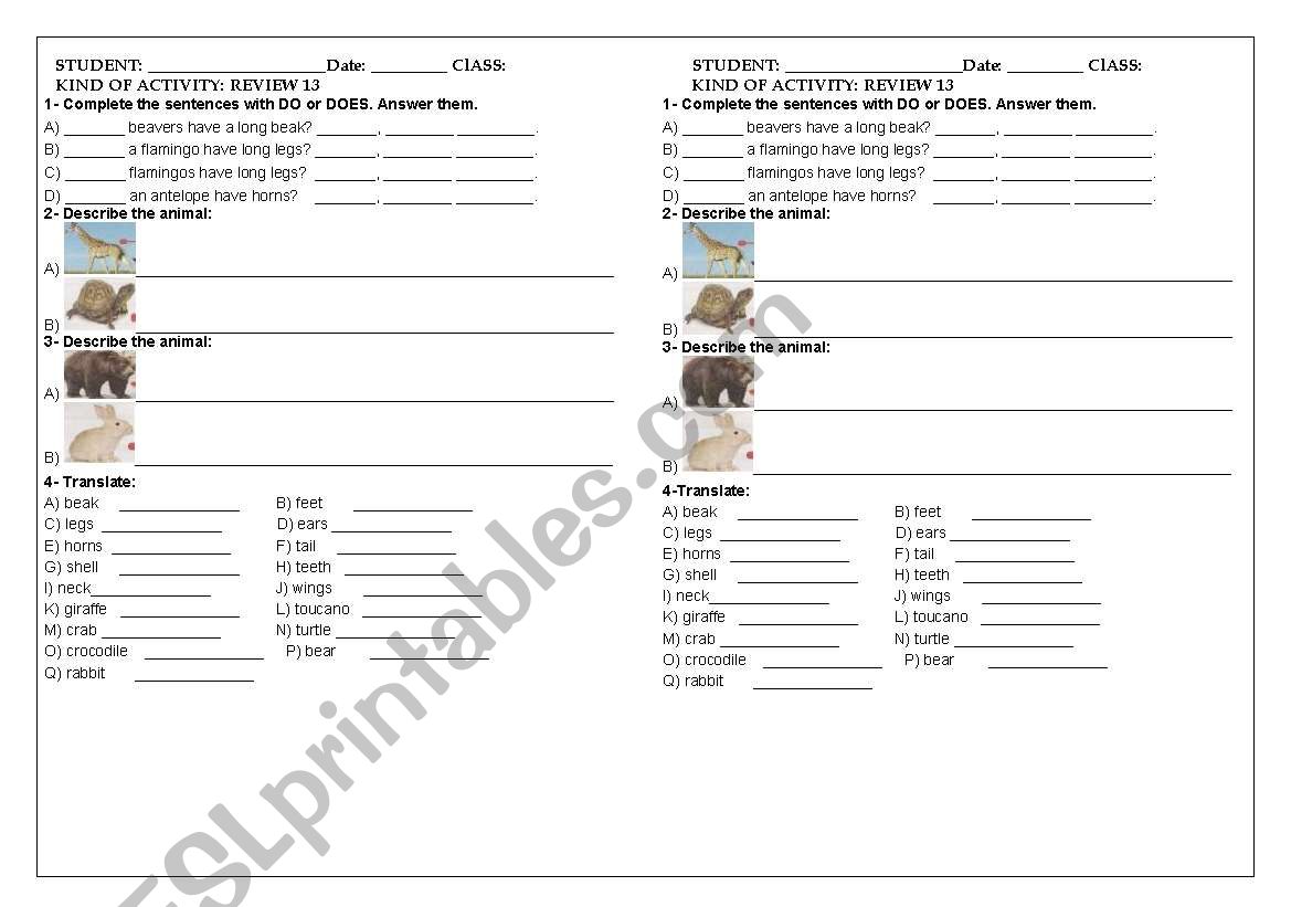 REVIEW 13 7 TH GRADE, SIMPLE PRESENT, DESCRIBING THE ANIMALS