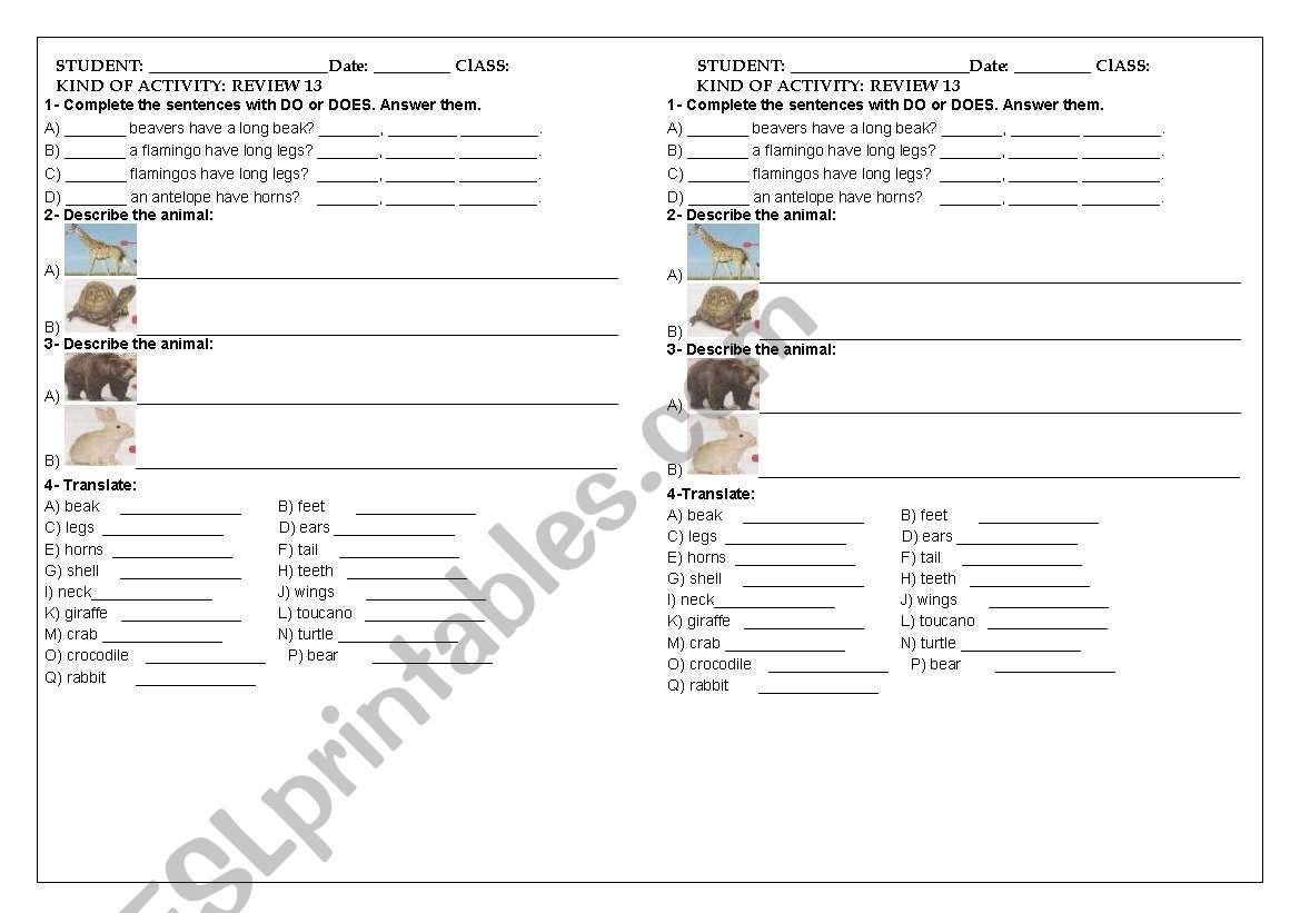 REVIEW 13 7 TH GRADE, SIMPLE PRESENT, DESCRIBING THE ANIMALS