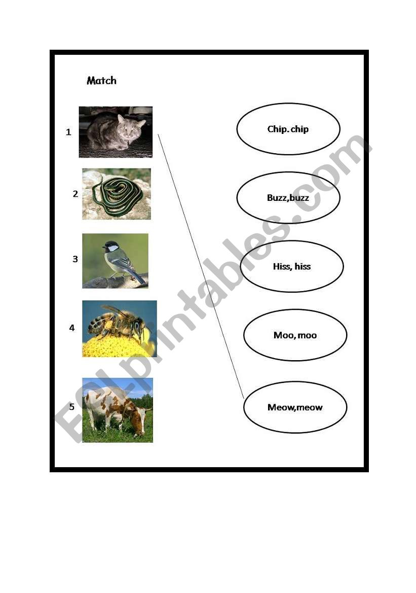 animals worksheet