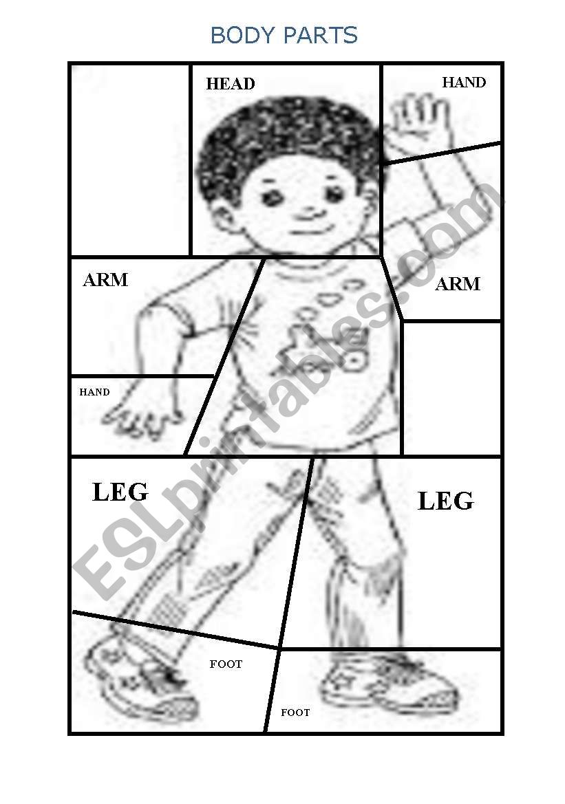 BODY PARTS worksheet