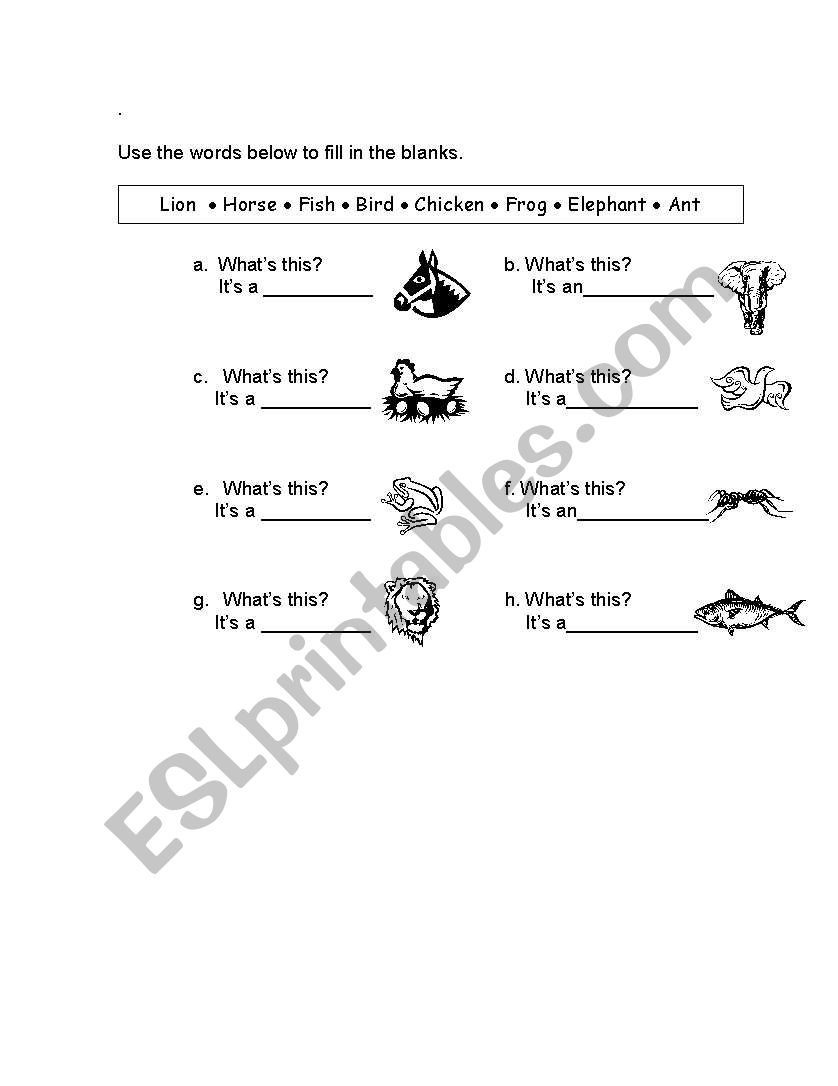 animals worksheet