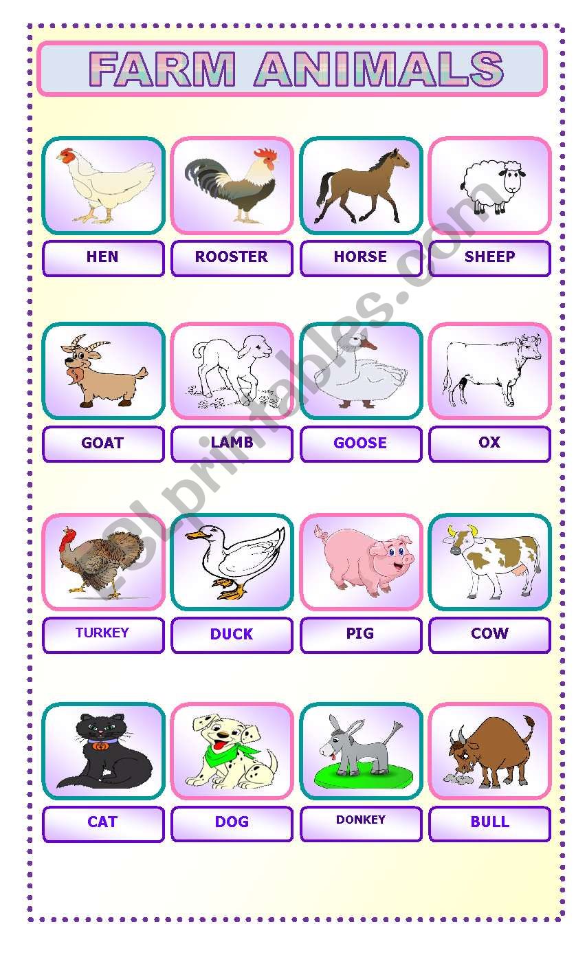 FARM ANIMALS VOCABULARY worksheet