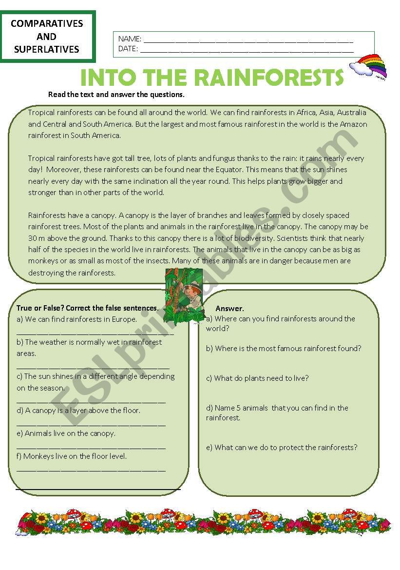 Comparing the rainforest worksheet