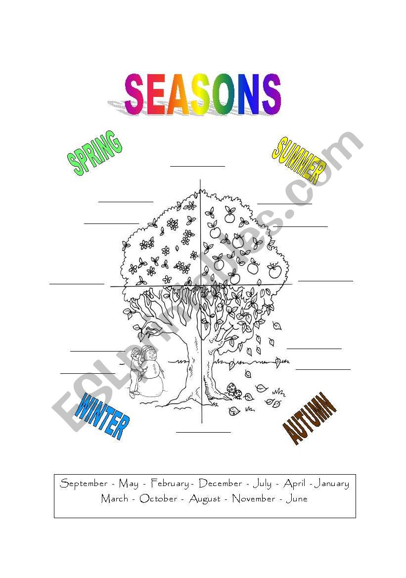 seasons worksheet