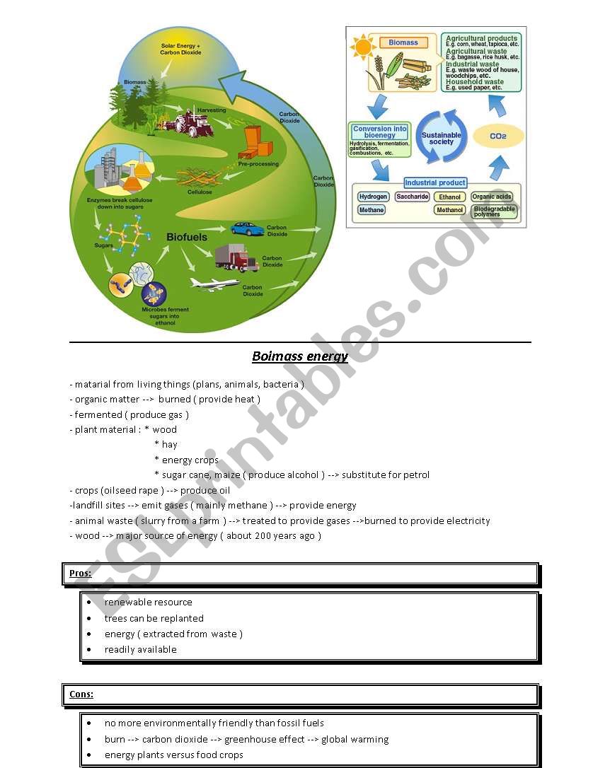 biomass energy worksheet