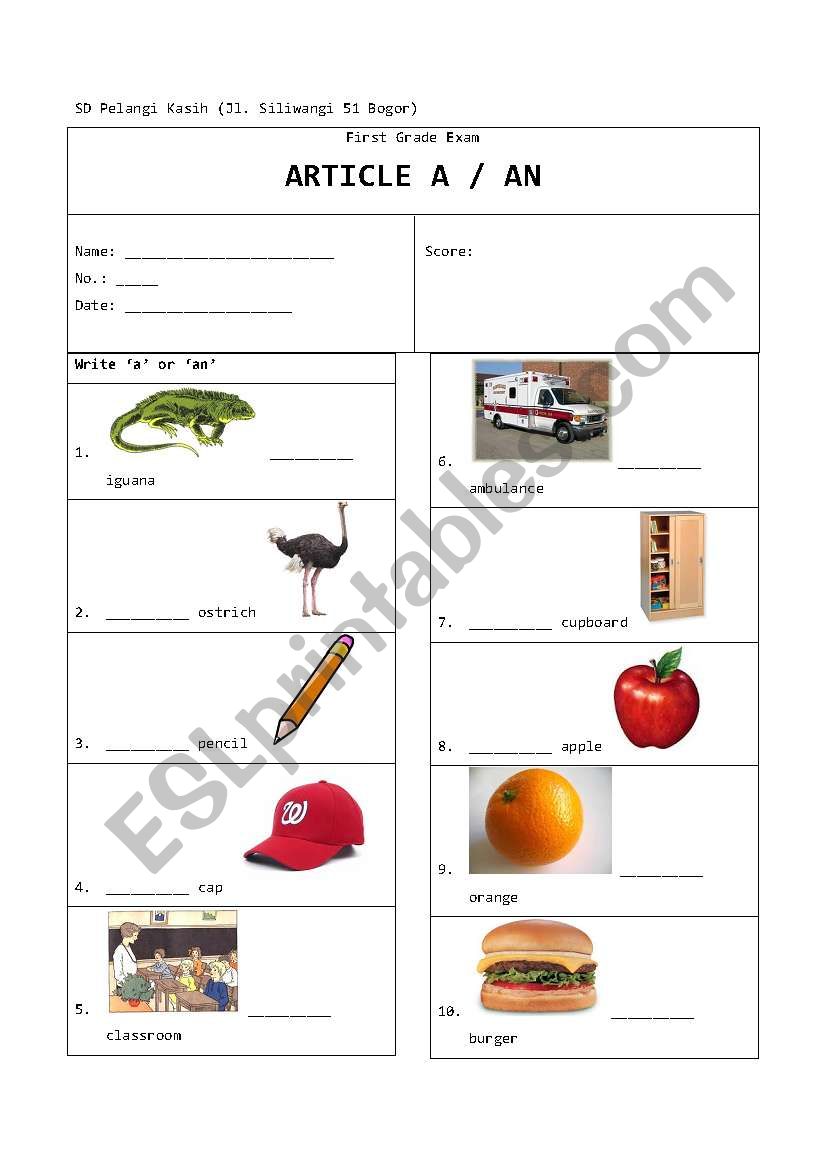 Article A/An worksheet