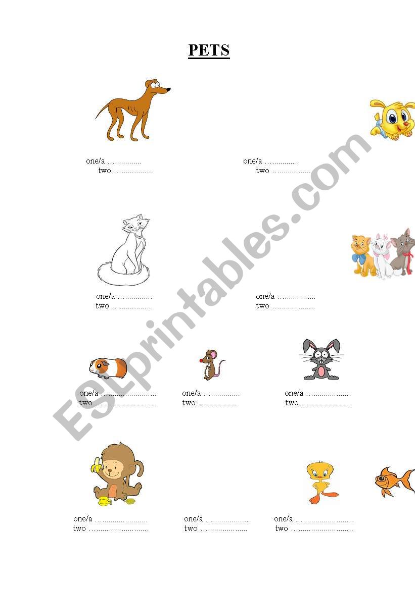 Pets worksheet