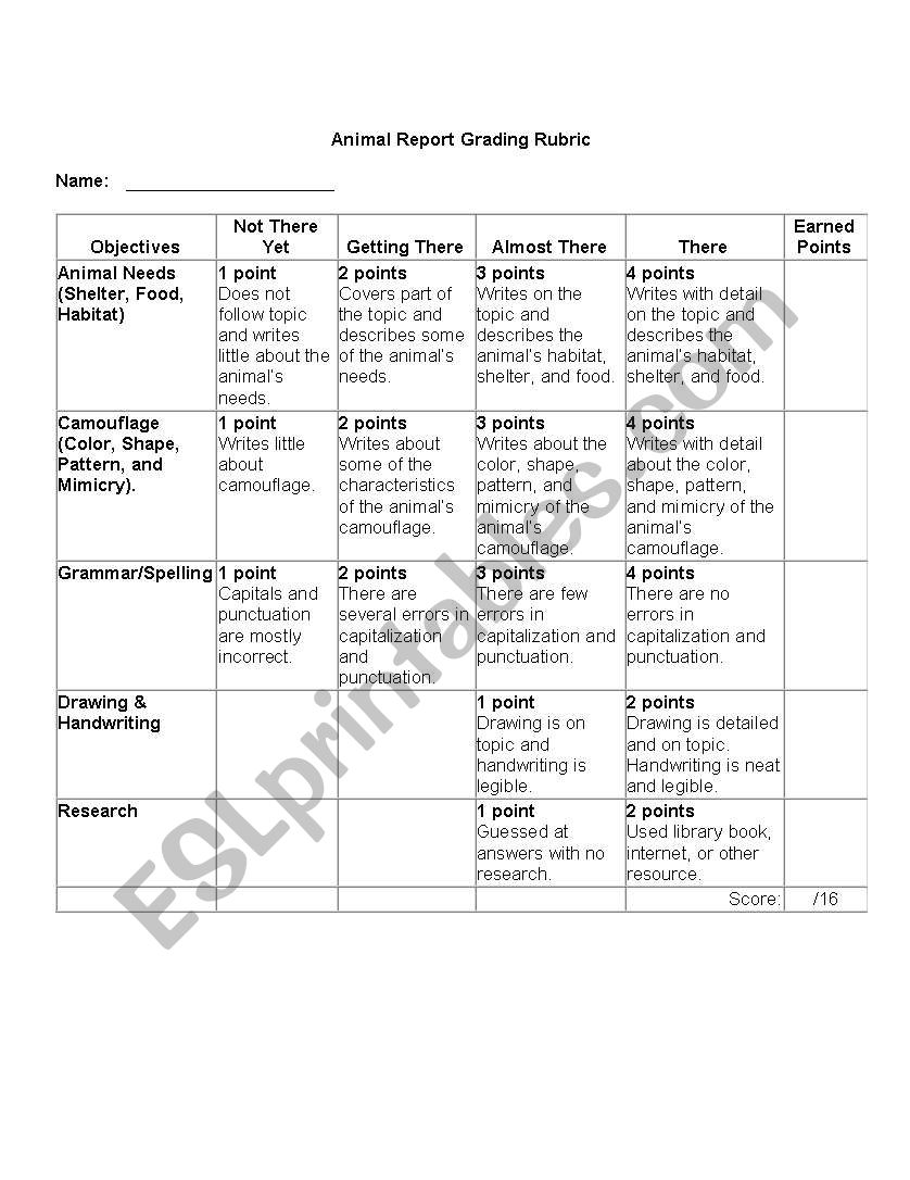 Animal Report worksheet