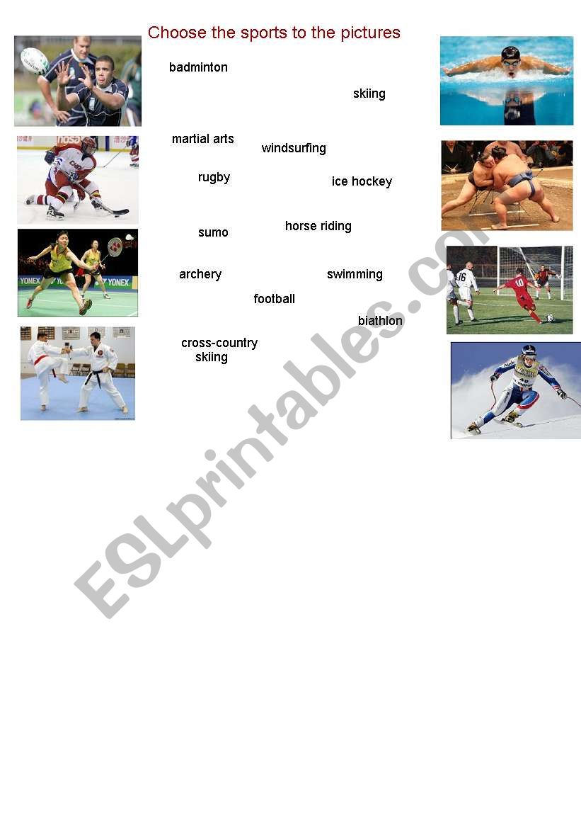 Sports worksheet